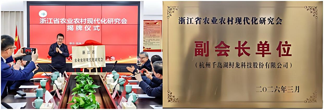 WPS拼图0.jpg
